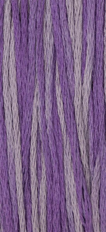 2316 Iris Weeks Dye Works Floss