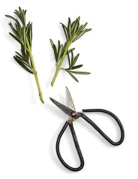 Small Garden Shears